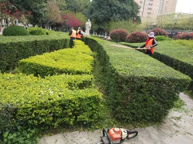 南方地区的种植及绿化工程